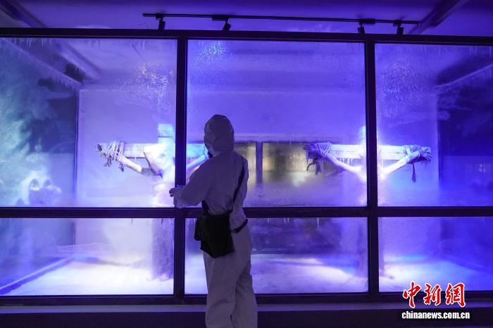 圖為凍傷實驗室。中新社記者 趙宇航 攝