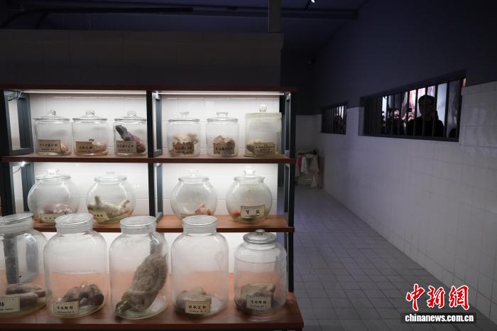 圖為觀展者參觀人體解剖實驗室。中新社記者 趙宇航 攝