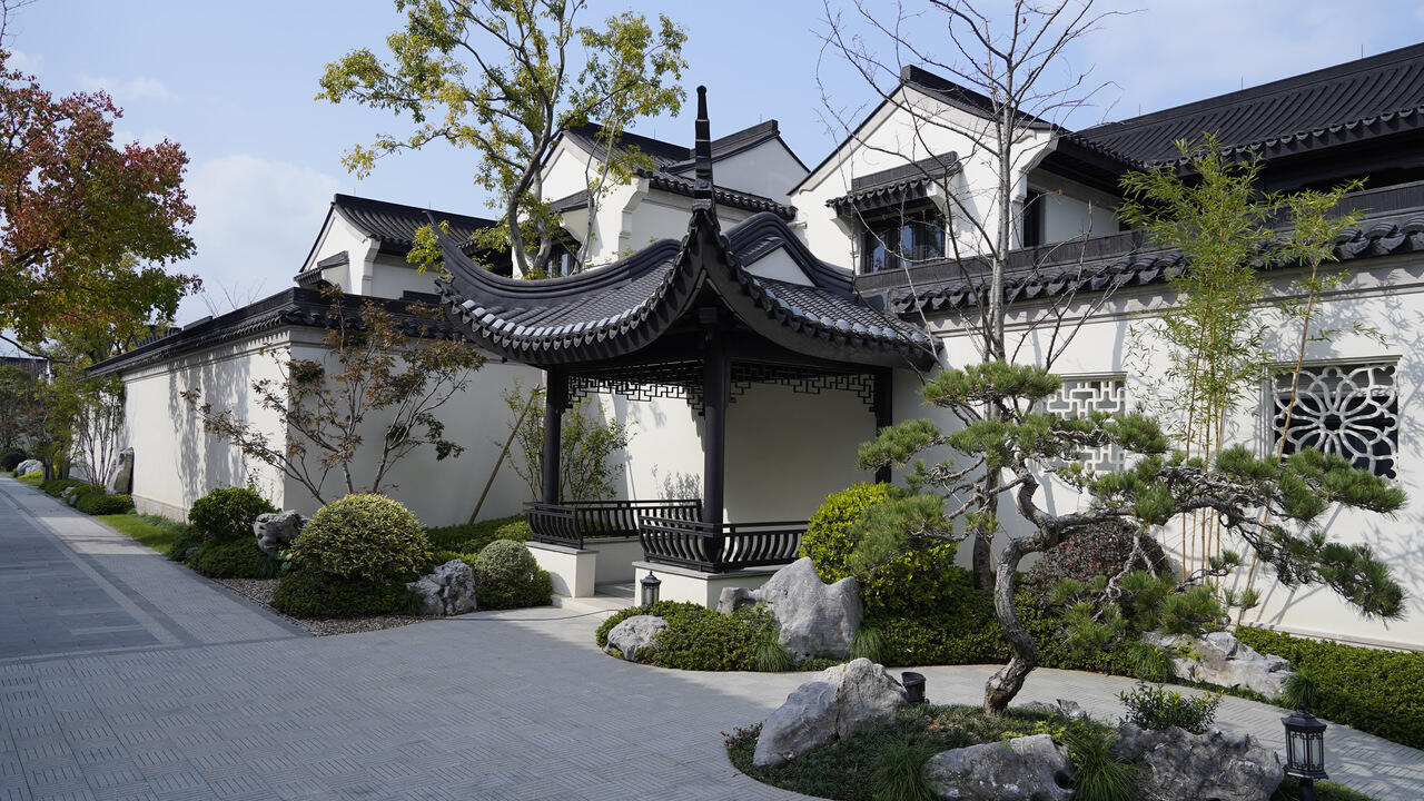 (项目实景图)