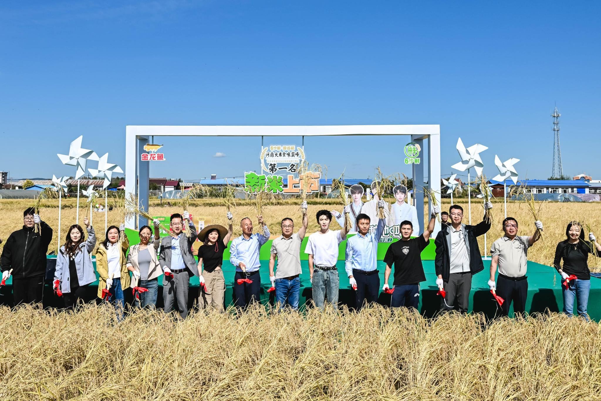 从“追赶”到“碾压”！超越“世界米王”日本越光米，金龙鱼6步鲜新米上市