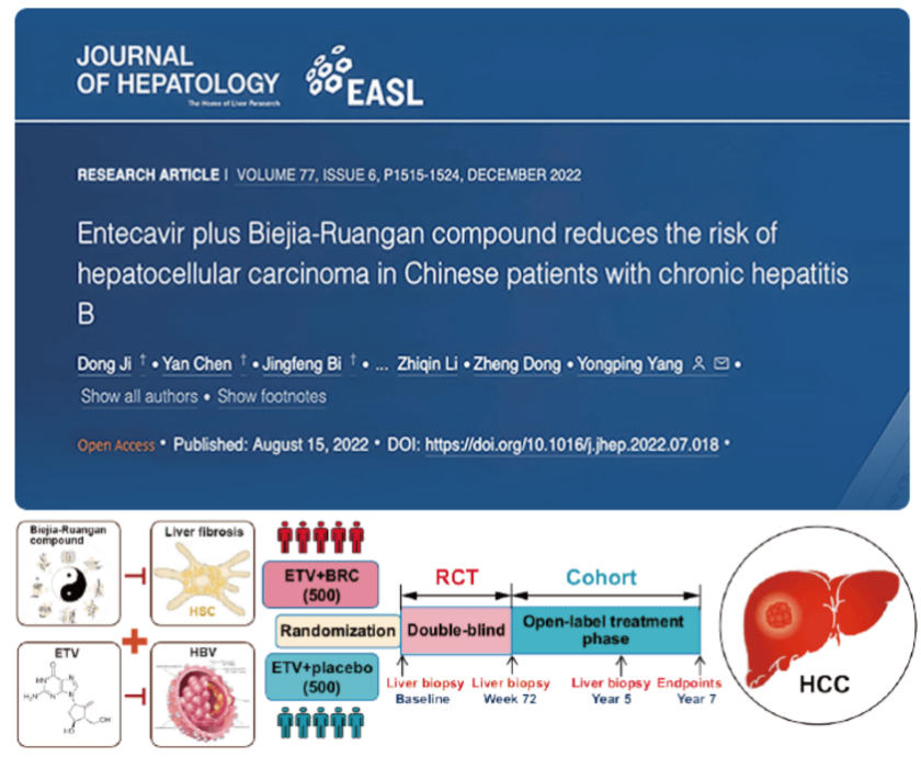 复方鳖甲软肝片相关研究成果发表在Journal of Hepatology