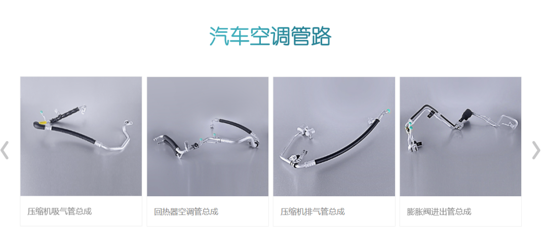 腾龙股份的产品,截图自其官网