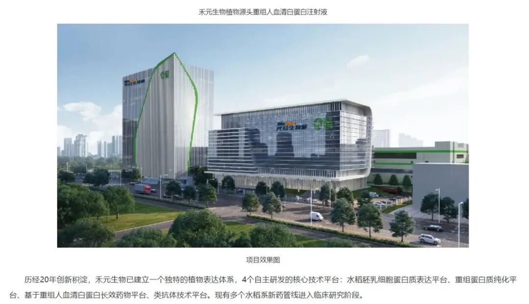 (截图来自武汉市投资促进局官网)