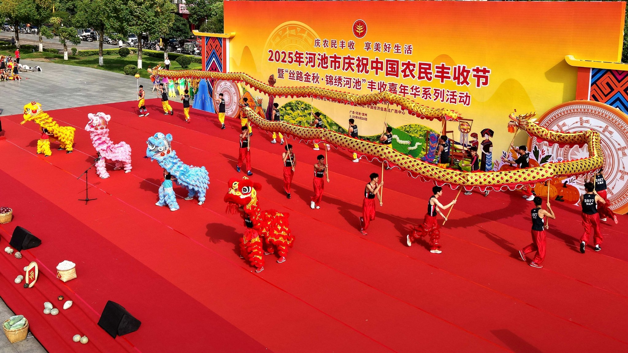 (图为活动现场的舞龙表演)