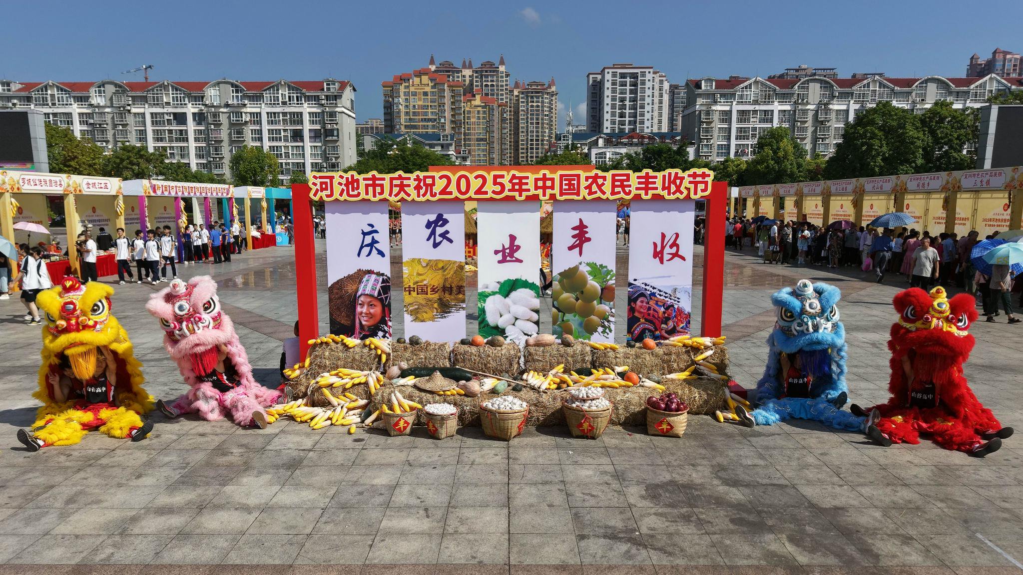 (图为丰收节活动现场)