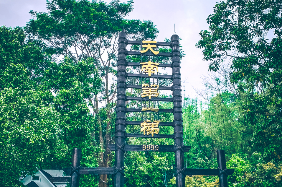 企业供图