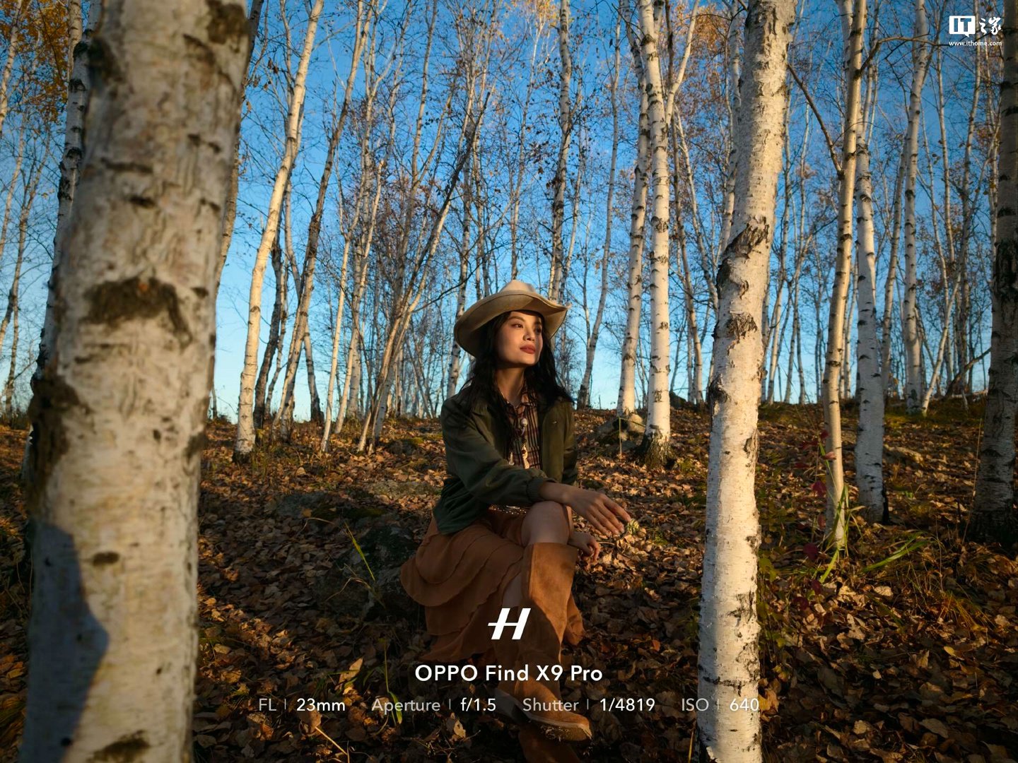 以上样张均为大师模式拍摄,上传略有压缩