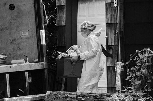 图片来源:Jeenah Moon/AP Photo/Alamy