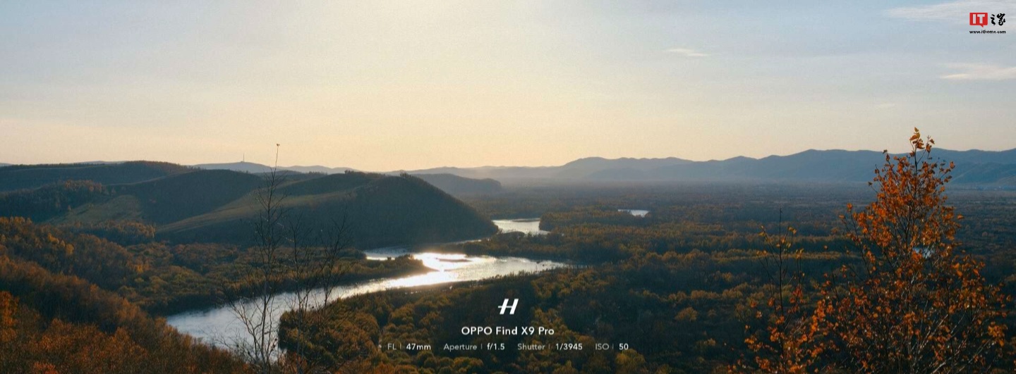 以上样张均为大师模式拍摄,上传略有压缩