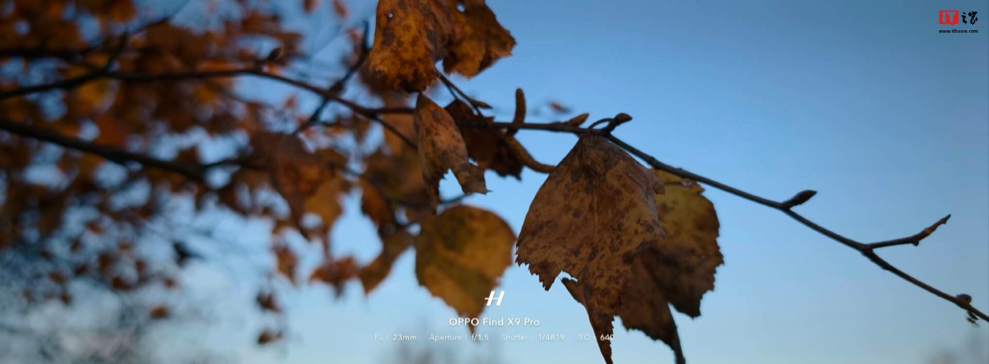 以上样张均为大师模式拍摄,上传略有压缩