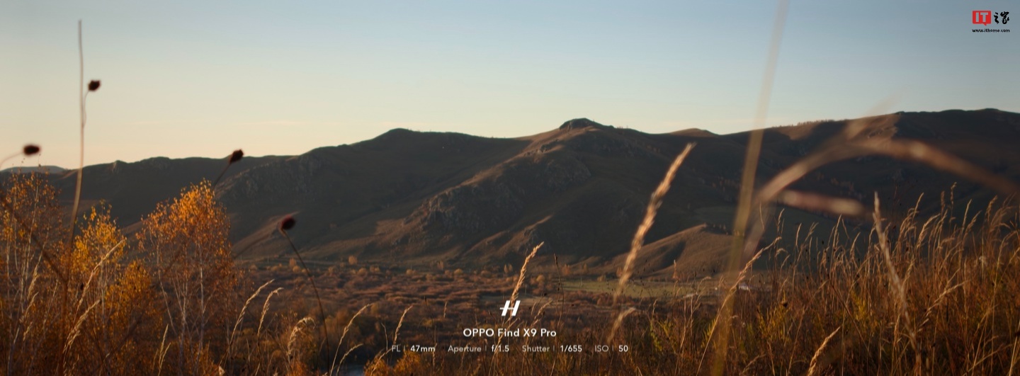 以上样张均为大师模式拍摄,上传略有压缩