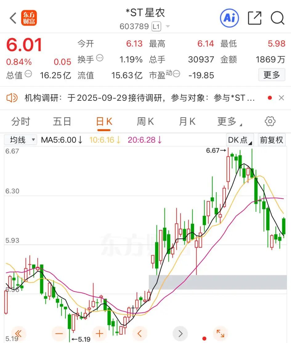 编辑：杜妍