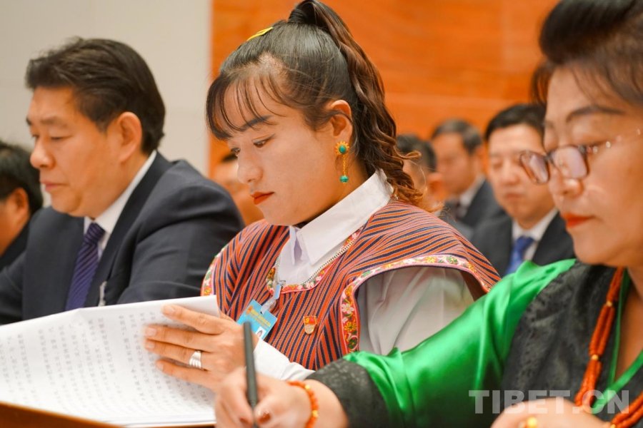 资料图:列席西藏自治区两会的门巴族全国人大代表罗布央宗 摄影:赵振宇