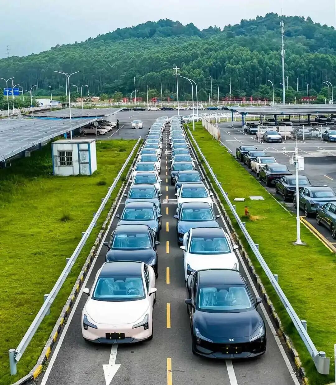 △小鹏汽车肇庆基地。王振宇 摄