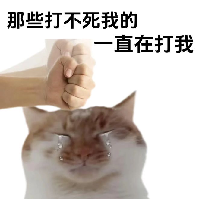 广告打遍全网，转转为何还是打不过闲鱼？