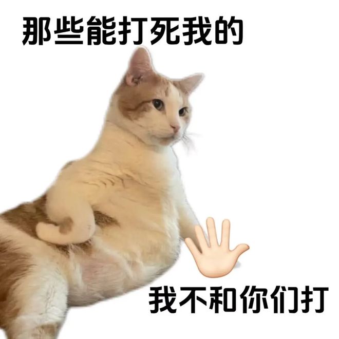 广告打遍全网，转转为何还是打不过闲鱼？