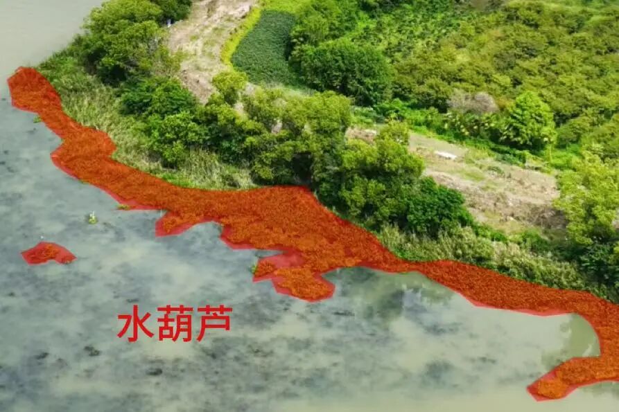 中科华兴丨“空地一体化”赋能河道全时巡检新范式