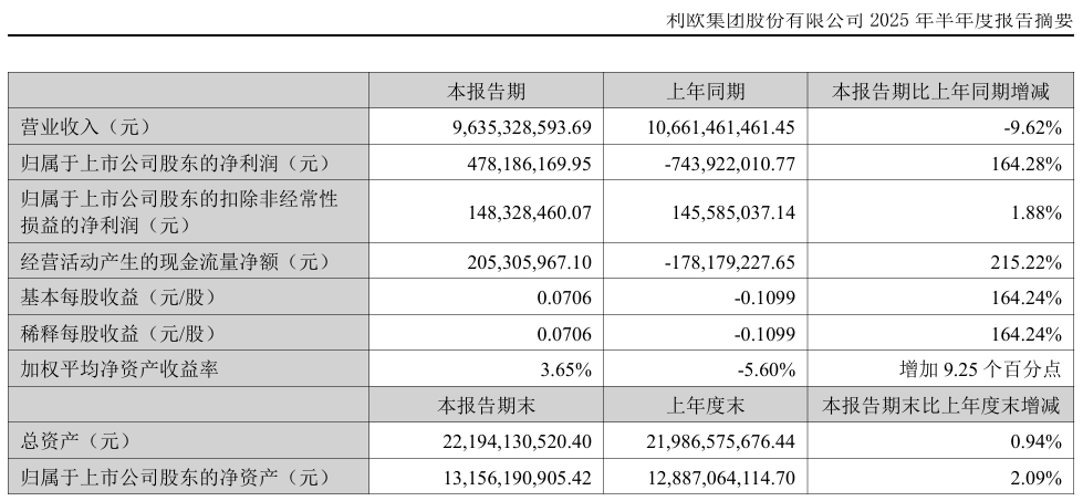 来源:公司半年报摘要