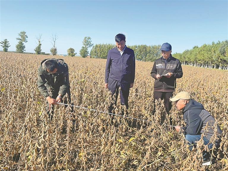 长水河农场农业科技服务中心与二井镇农技推广中心技术人员开展田间测产工作。刘晓岩摄