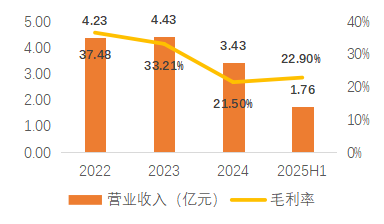 图8:公司2022-2025H1海外业务收入及毛利率(单位:亿元,%)