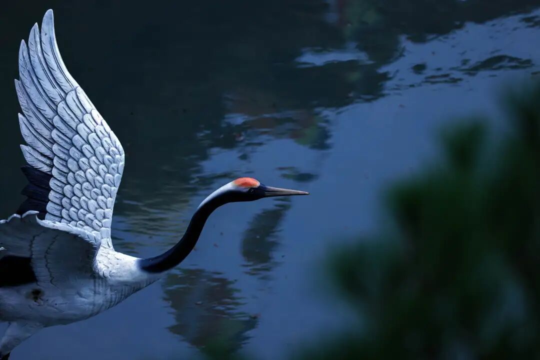 责任编辑 | 东林寺融媒中心