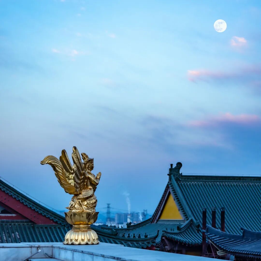 责任编辑 | 东林寺融媒中心