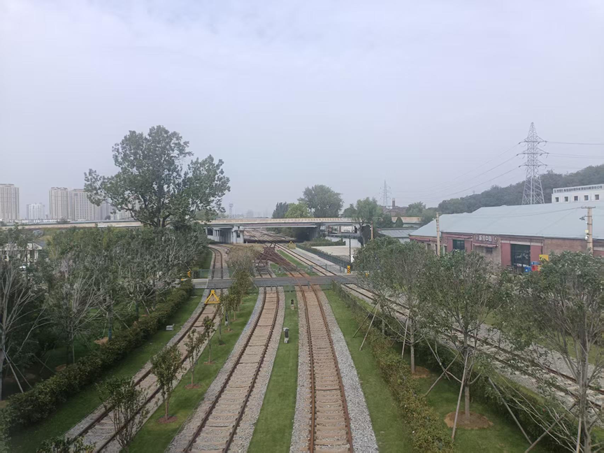 (铁路花海与市区公路  潘俊田/摄)
