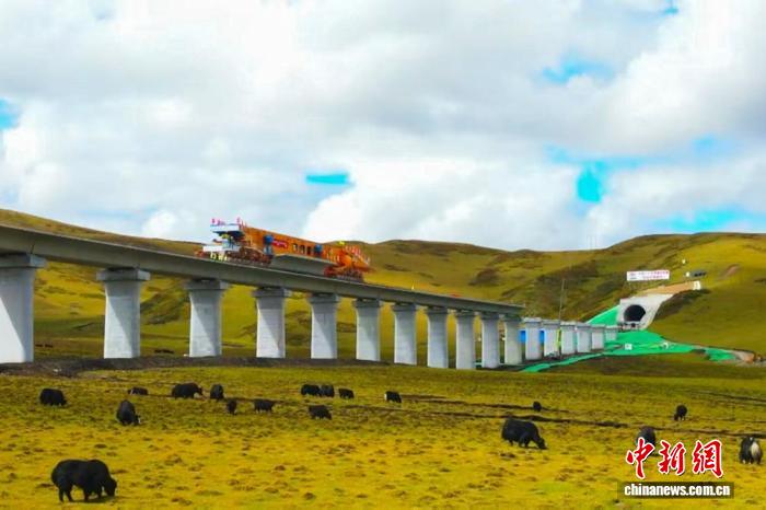 西寧至成都高鐵熱曲支溝1號特大橋架設現場。中鐵十九局西成鐵路項目部供圖