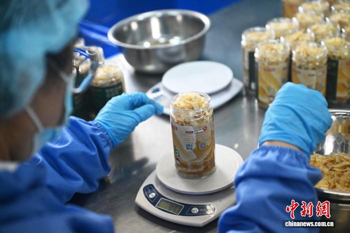 10月9日，在位於甘肅省蘭州市七里河區一百合加工基地內，工作人員進行百合產品生產加工作業。中新社記者 李亞龍 攝