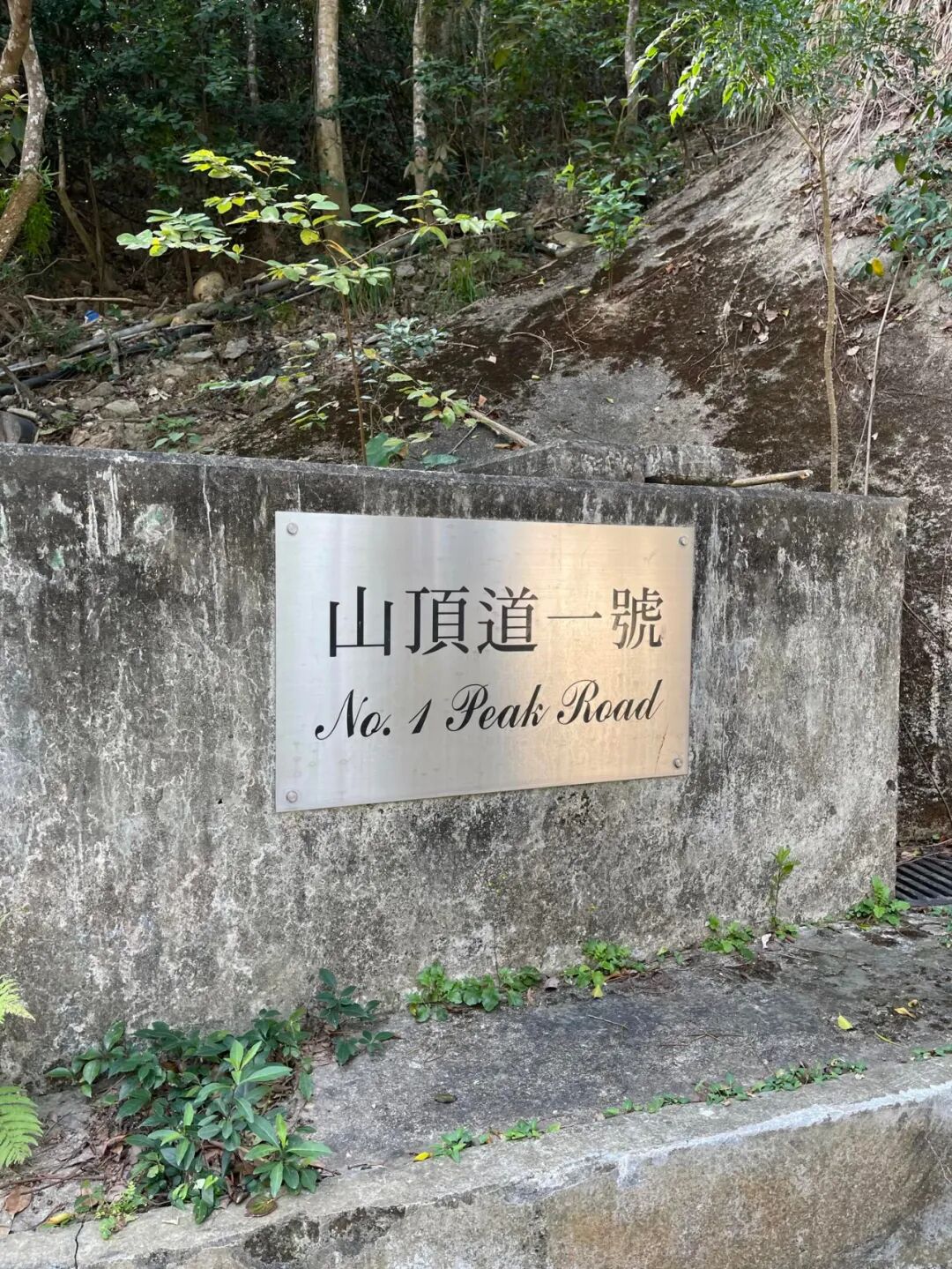 山顶道1号。图源网络