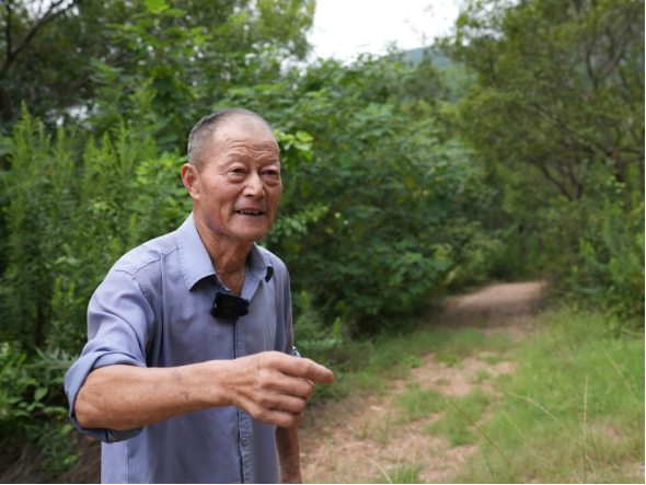 2025年9月12日,“当代愚公”易厚掌正在讲述他的种树故事。(马鞍山市新闻传媒中心倪博昊 摄)