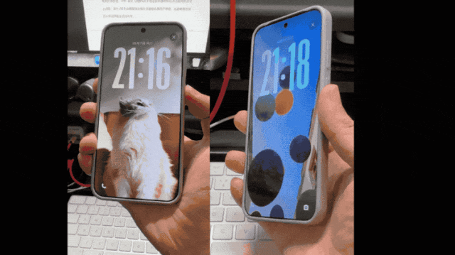 圖源:不客觀實驗室