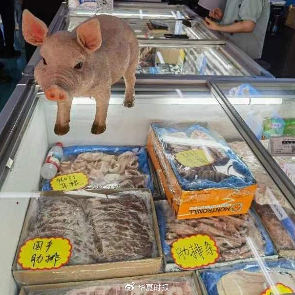 “猪肉一天一个价地往下掉”，繁育端陷入亏损，拐点何时出现？