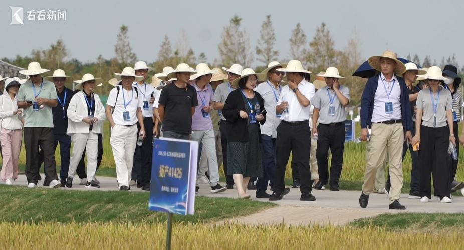 誰產量高、誰成熟得早,誰不倒伏,在這裏一目瞭然。