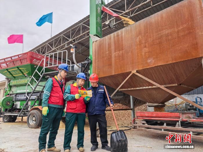 近日，山西臨汾，供電人員走進當地最大的糧食烘乾點，全力確保電力可靠供應，助力農戶守護勞動成果。國網臨汾供電公司供圖