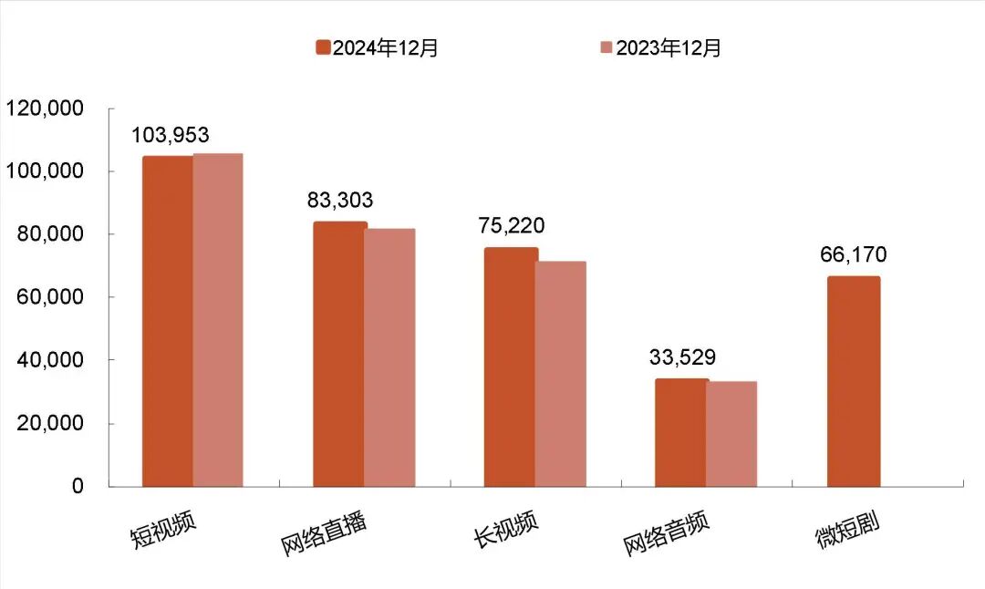 资料来源:中国网络视听节目服务协会、CNNIC《中国网络视听发展研究报告(2025)》,山西证券研究所