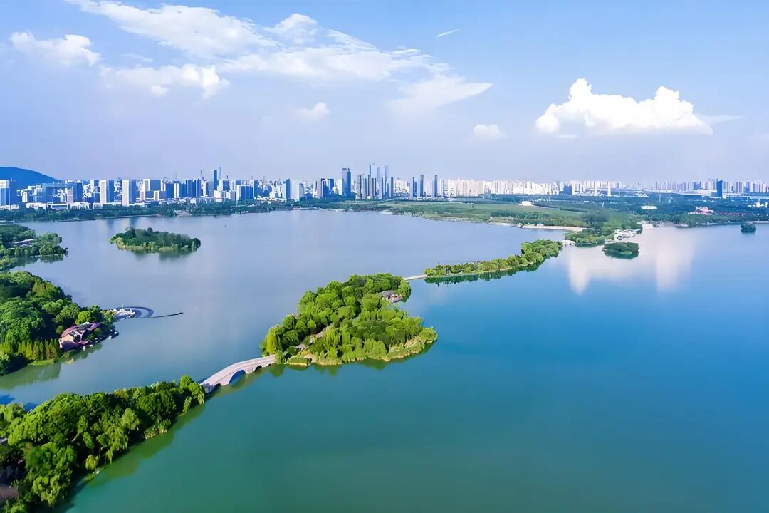 图片来源于网络