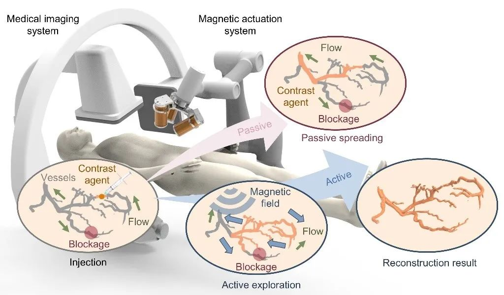 圖丨文章總體核心（來源：Nature Machine Intelligence）