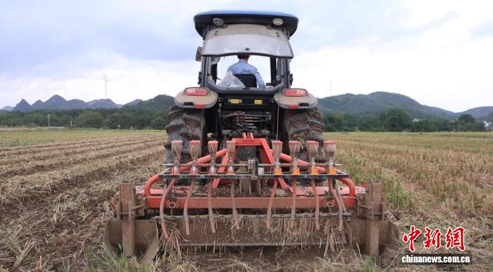江華大路鋪鎮太子井村油菜機播現場。藍玉春 攝