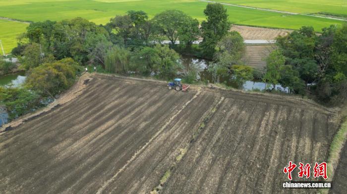 江華涔天河鎮水東村油菜機播現場。朱婷 攝