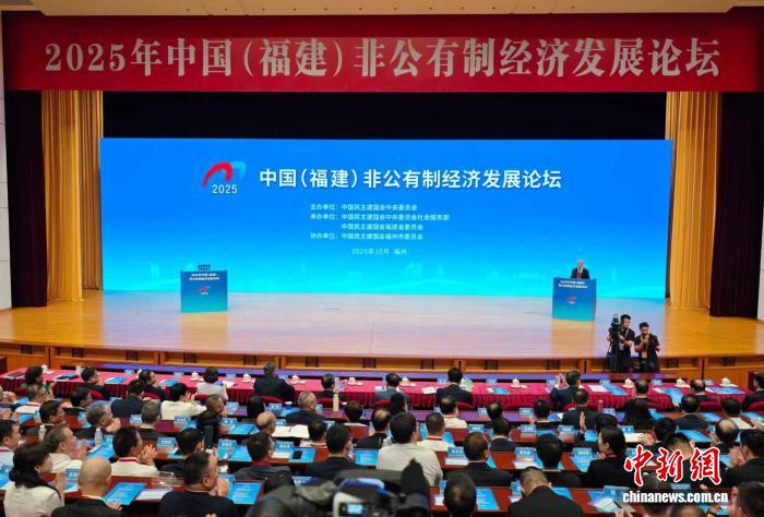 圖為論壇現場。中新網記者 呂明 攝