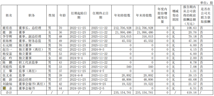 (数据来源:2024年报)