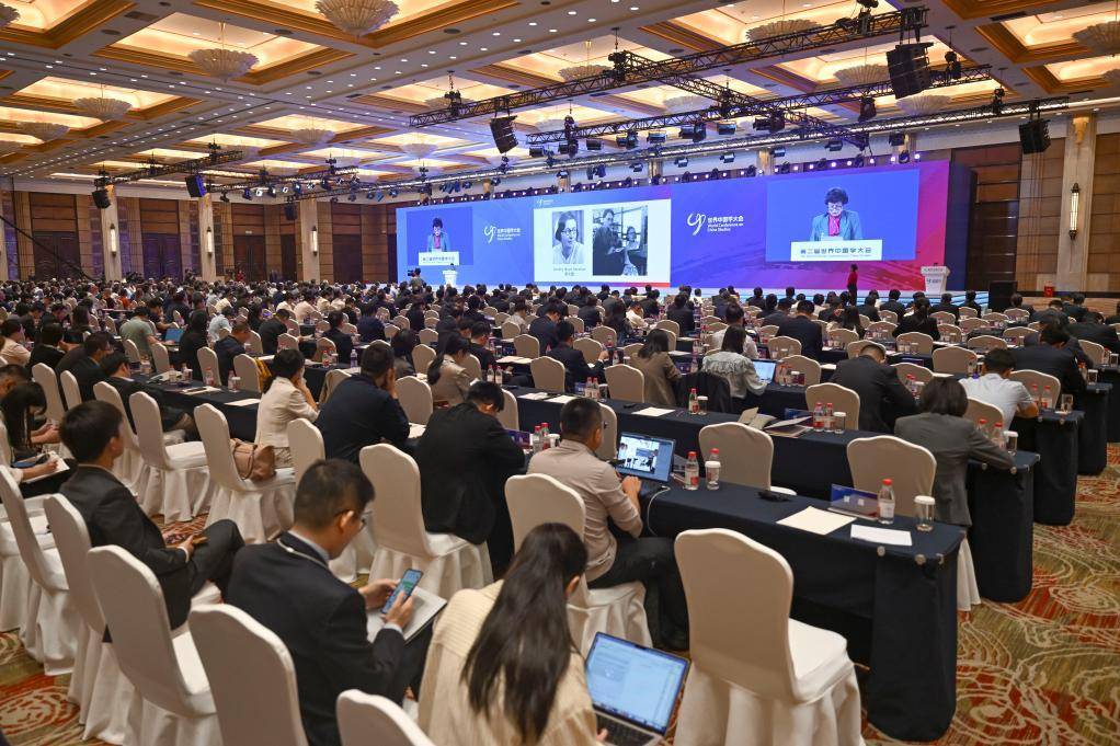 海外學者在第二屆世界中國學大會上發言。新華社記者陳浩明 攝