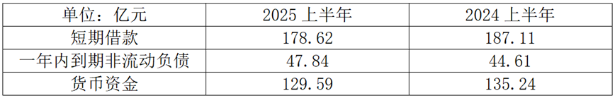 (来源：2025半年报)