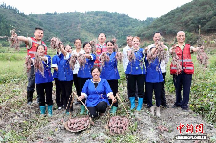 圖為村民展示當地高山紅薯。龔普康 攝