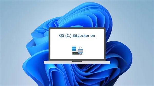 Windows BitLocker自动加密磁盘！3TB宝贵数据丢失：永远无法再找回