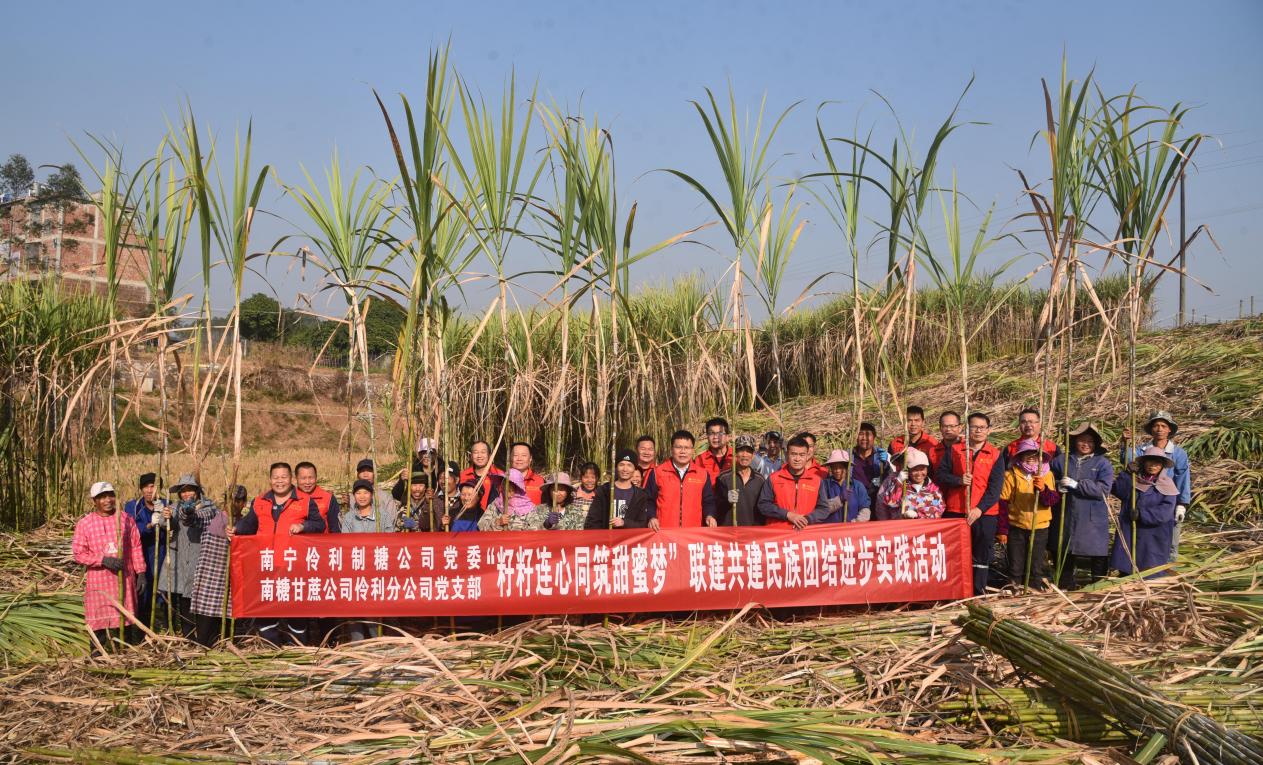 新江镇百马移民点开展“籽籽连心同筑甜蜜梦”联建共建民族团结进步实践活动。 何梅 摄
