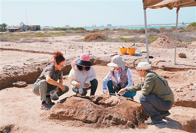 中外考古工作者在朱尔法遗址讨论遗迹现象。徐海峰供图