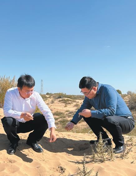 卢威(左)带领团队在榆林毛乌素沙地考察(资料照片)。 受访者供图