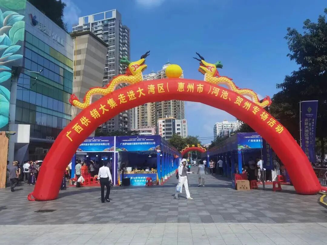 图为活动现场